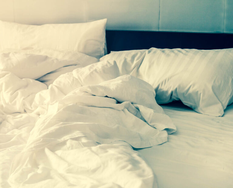 Punaises de lit literie