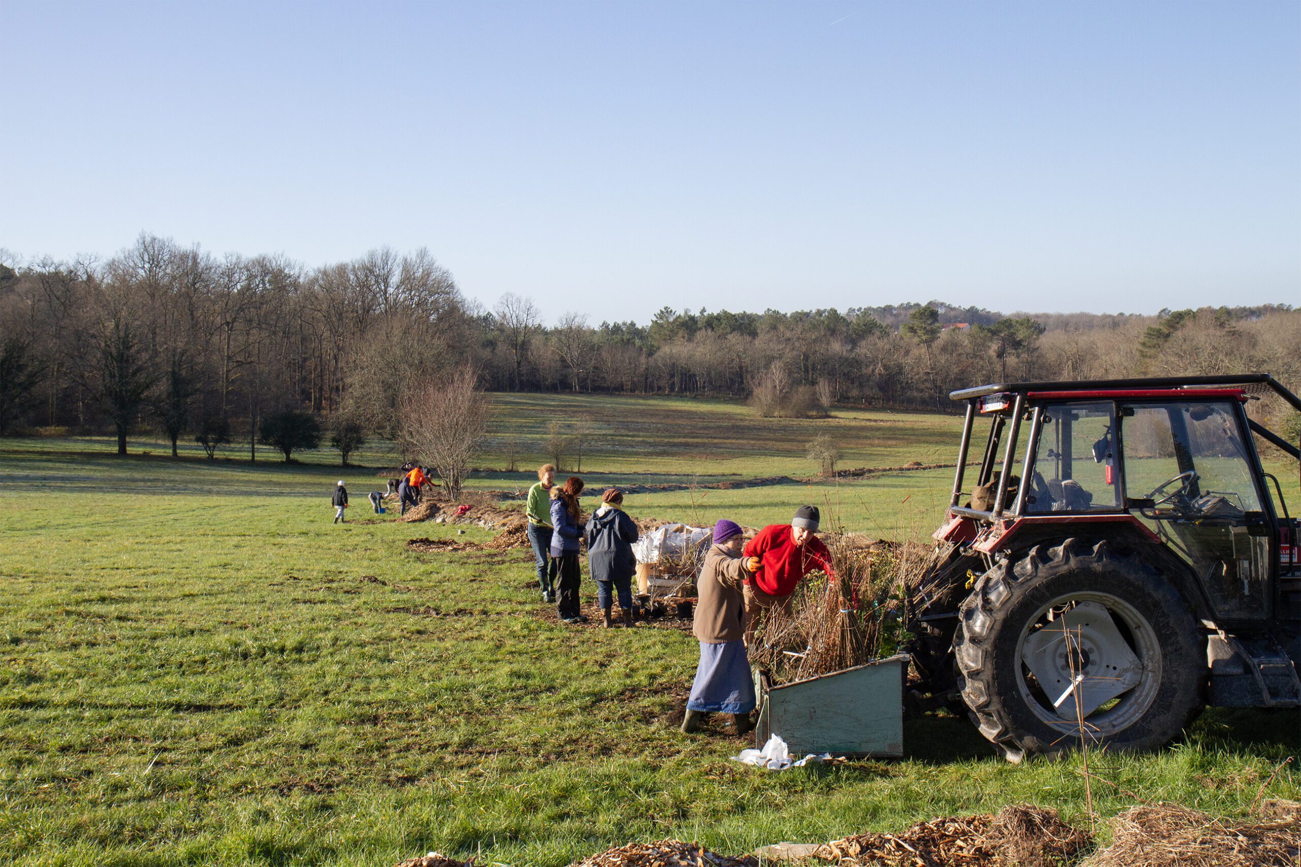 plantation d'une haie champêtre financée par le Cèdre