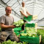 Terra Alter : des légumes biologiques et locaux