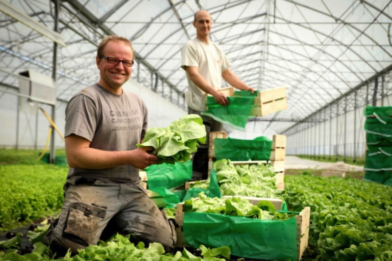 Terra Alter : des légumes biologiques et locaux