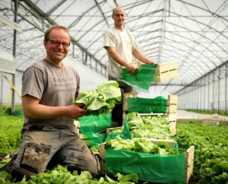 Terra Alter : des légumes biologiques et locaux