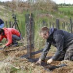 Plantation de haies bocagères : RSE