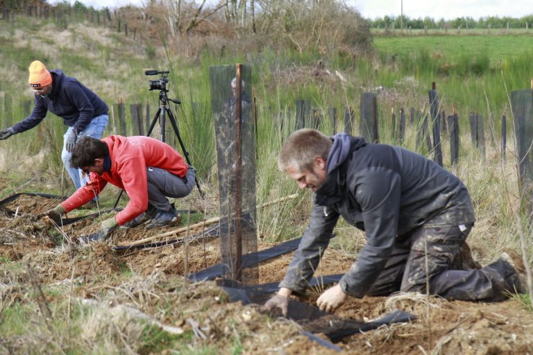 Plantation de haies bocagères : RSE