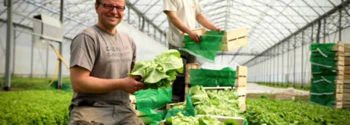 Terra Alter : des légumes biologiques et locaux