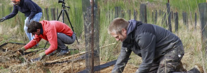 Plantation de haies bocagères : RSE