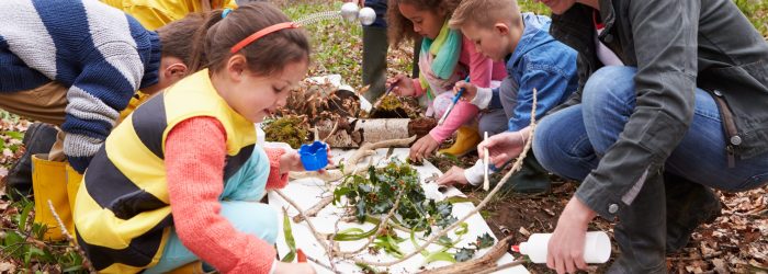 Projet éducatif financé par la fondation d'entreprise du Cèdre